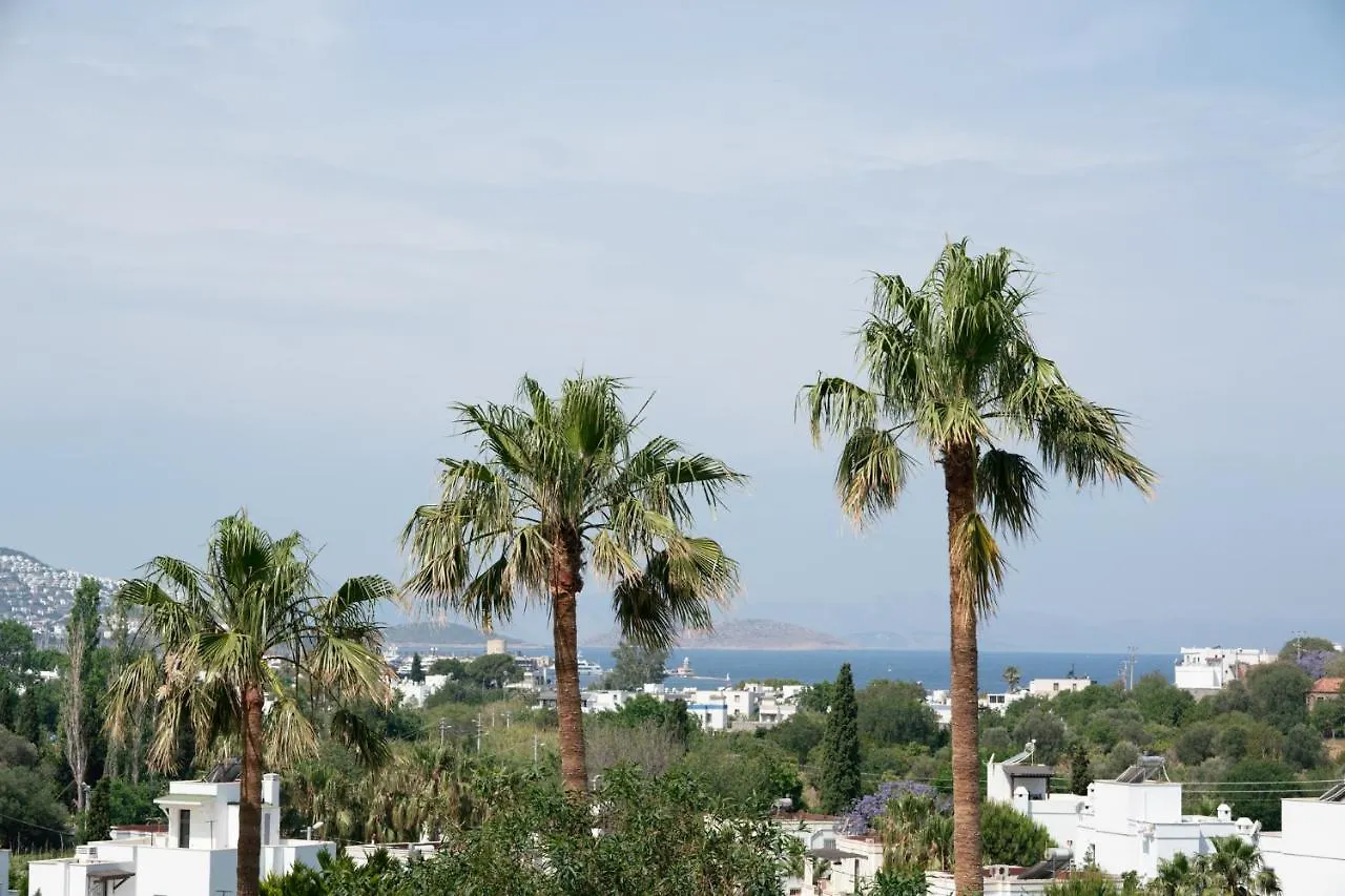 Elementa Boutique Hotel - Adults Only يالِكافاك